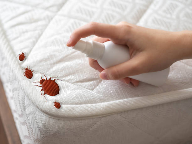Best Commercial Pest Control Services  in Boulder, MT