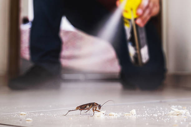 Best Exterminator Services  in Boulder, MT